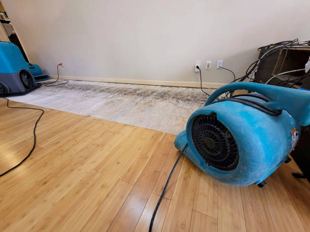 Professional Burst Pipe Water Damage technician working in Marble Falls, TX